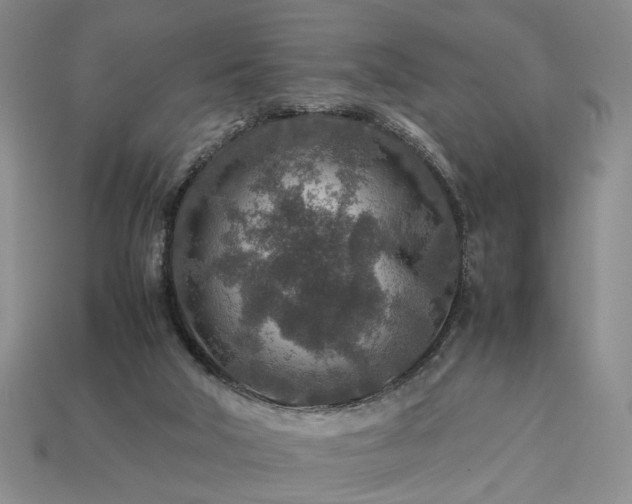 X0000113370018200909291101