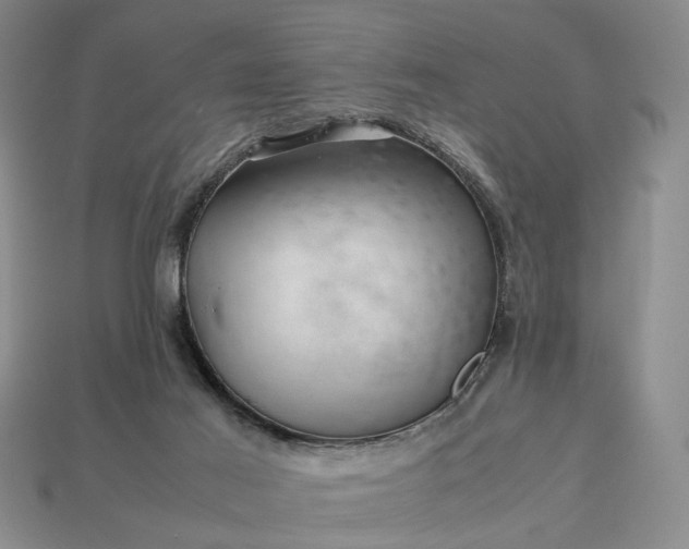 X0000113370021200909291100