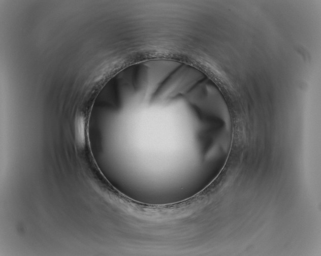 X0000113370022200909291100