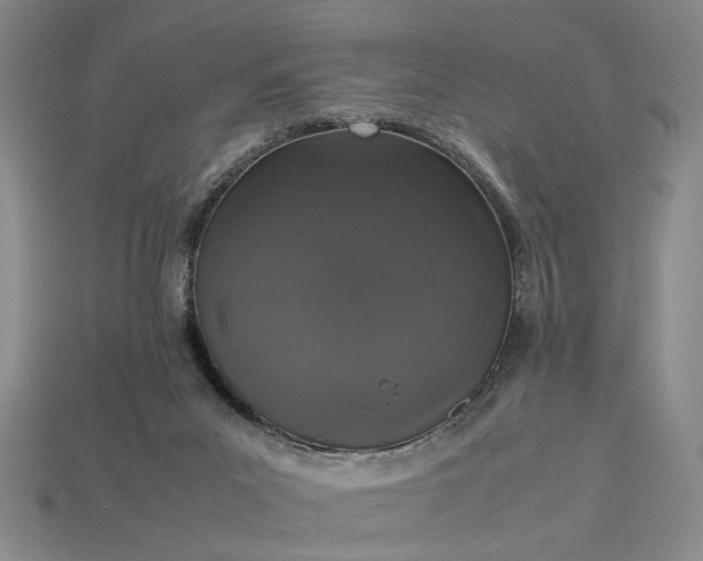 X0000113370023200909291100