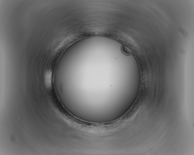 X0000113370024200909291100