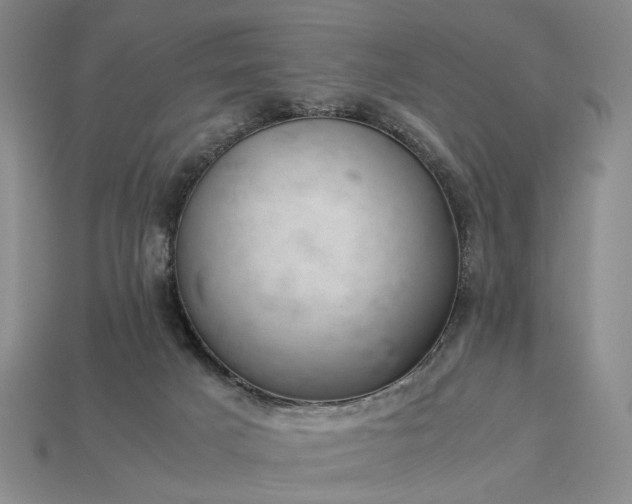 X0000113370025200909291100