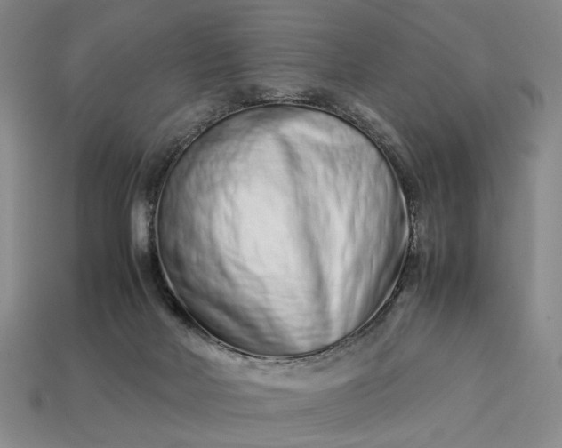 X0000113370026200909291100