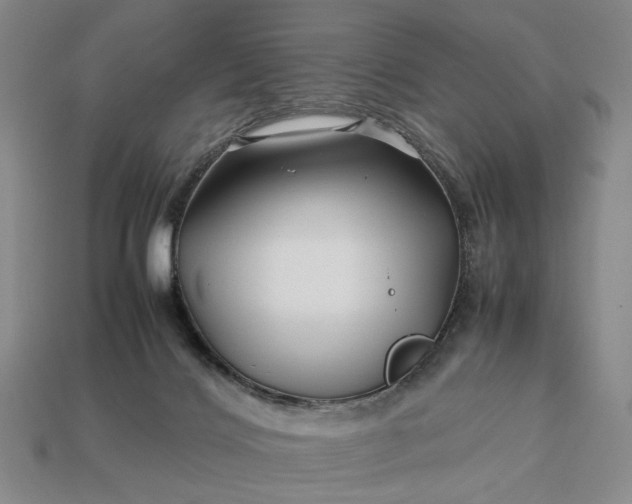 X0000113370028200909291100