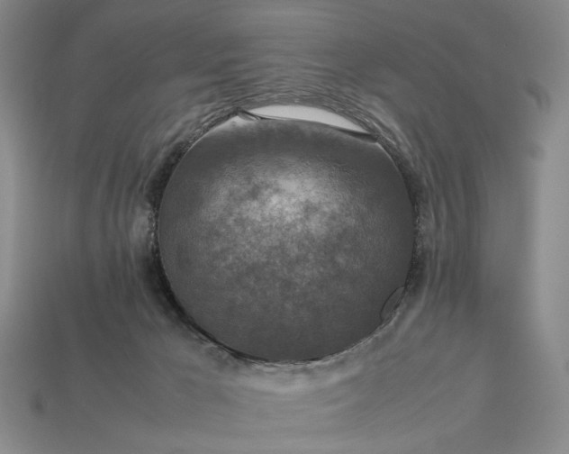 X0000113370029200909291100