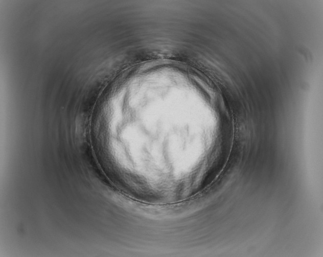 X0000113370030200909291100