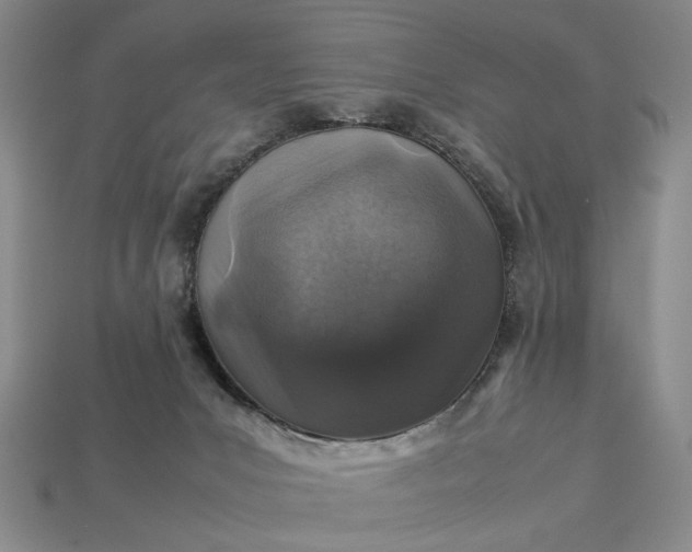 X0000113370031200909291100