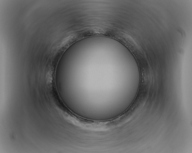 X0000113370032200909291100