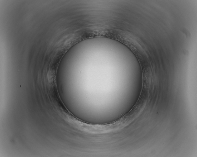 X0000113370034200909291100