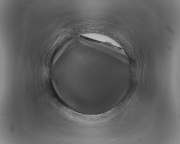 X0000113370035200909291100