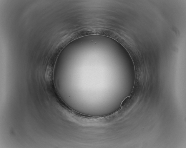 X0000113370036200909291100