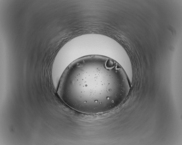 X0000113370037200909291100