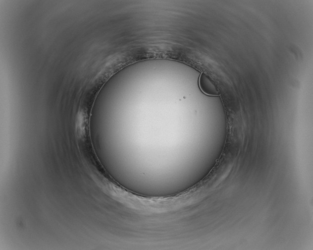 X0000113370038200909291100