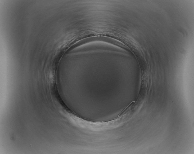 X0000113370039200909291100