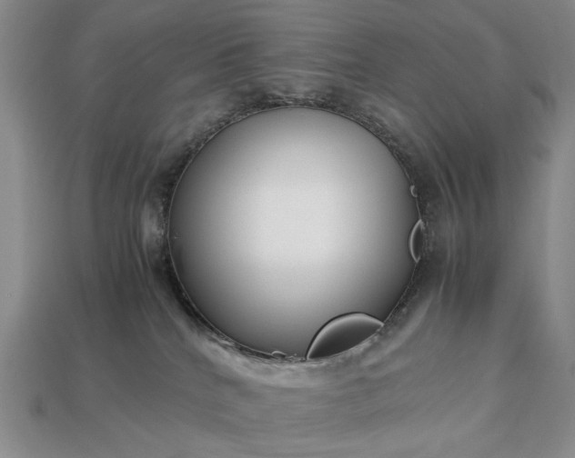 X0000113370040200909291100