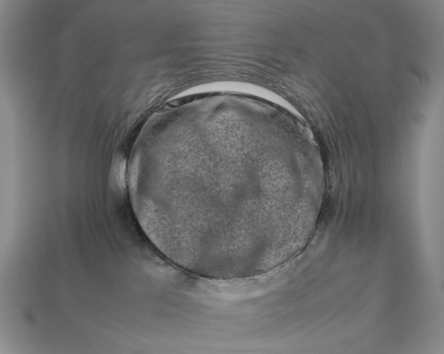 X0000113370041200909291100