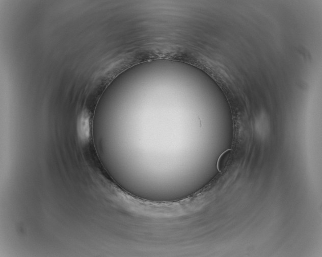 X0000113370042200909291100