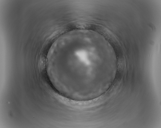 X0000113370043200909291100