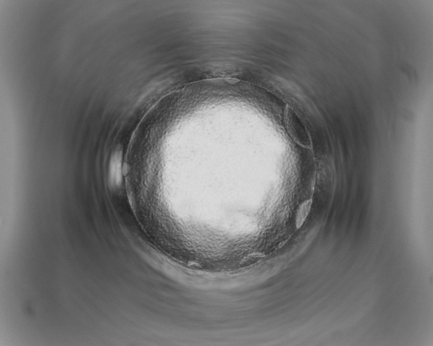 X0000113370046200909291100