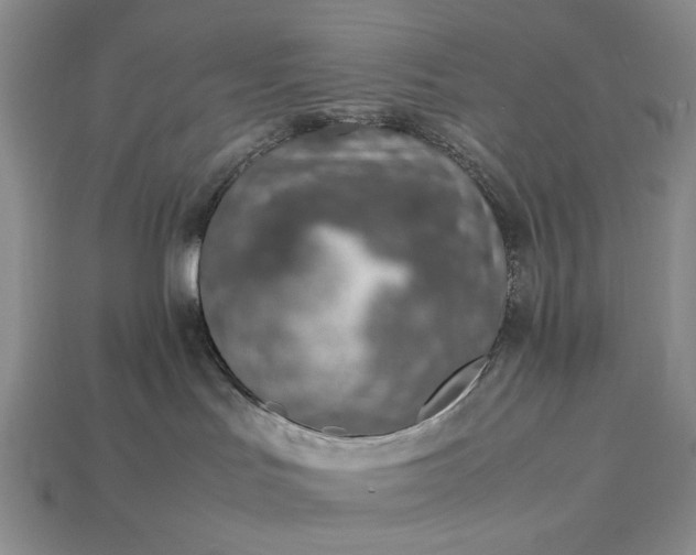 X0000113370047200909291100