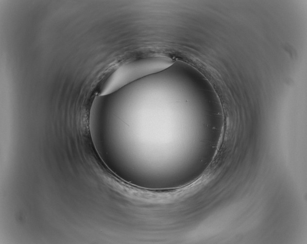 X0000113370048200909291100