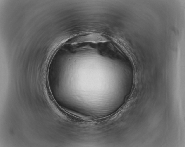 X0000113370049200909291100