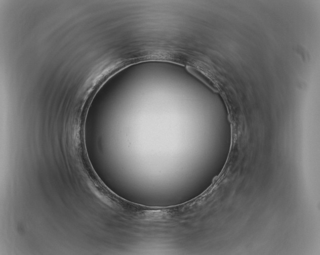 X0000113370050200909291100