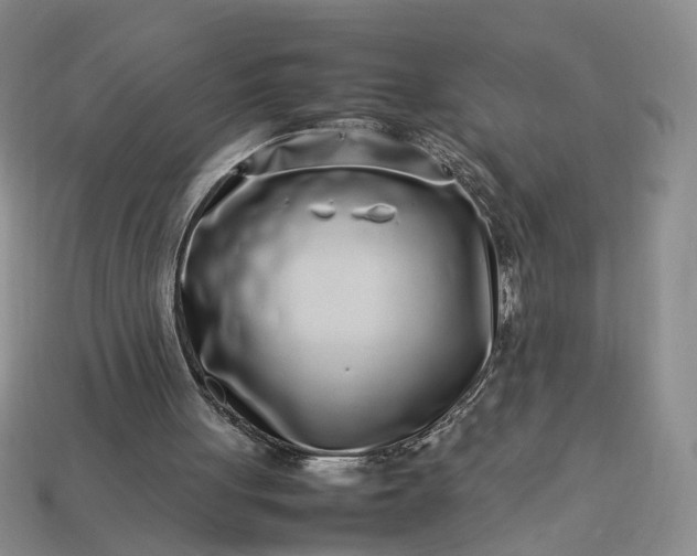 X0000113370051200909291100