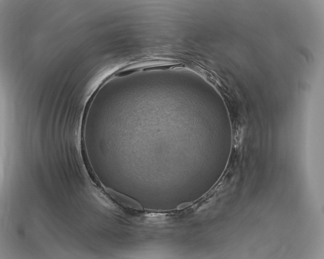 X0000113370052200909291100