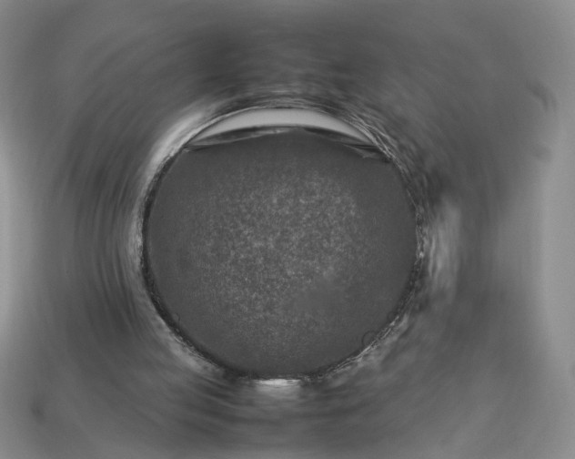 X0000113370053200909291100