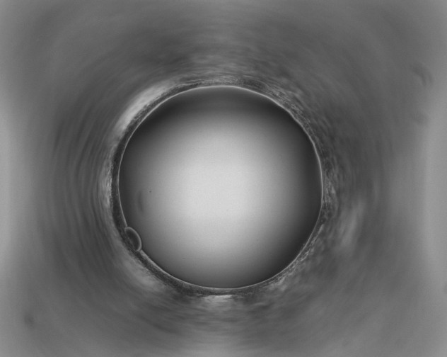 X0000113370054200909291100