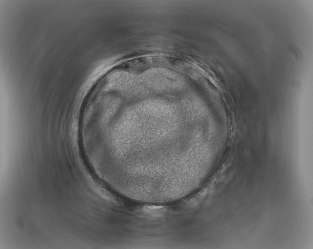 X0000113370055200909291100