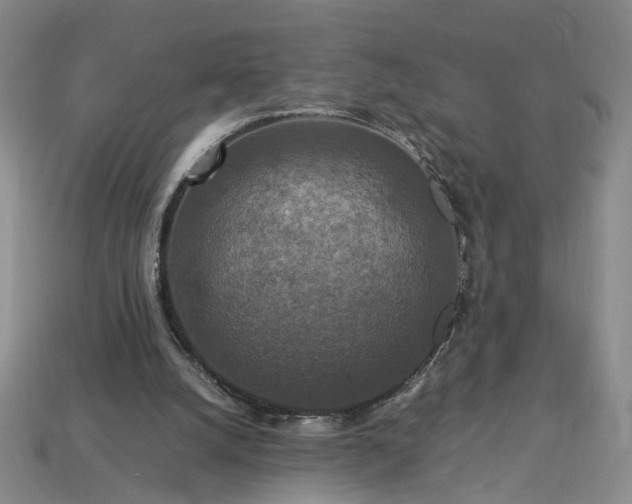 X0000113370056200909291100