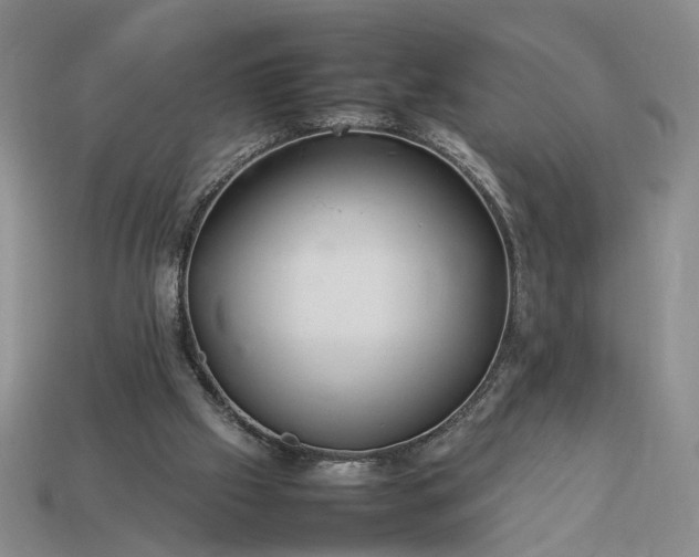 X0000113370057200909291100