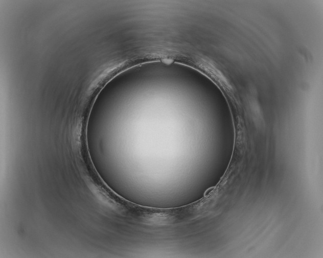 X0000113370058200909291100