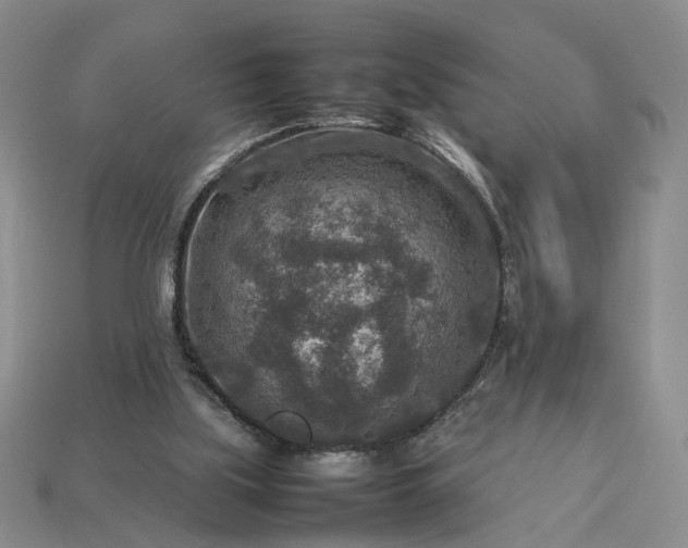 X0000113370059200909291100