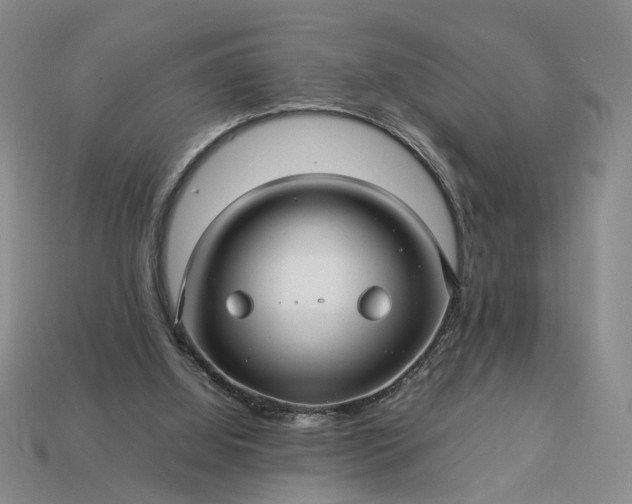 X0000113370060200909291100