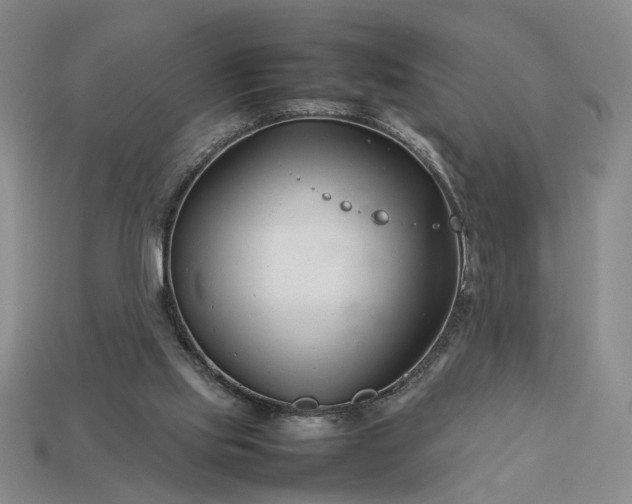 X0000113370061200909291100