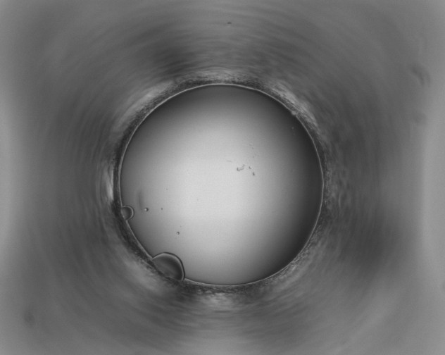 X0000113370062200909291100