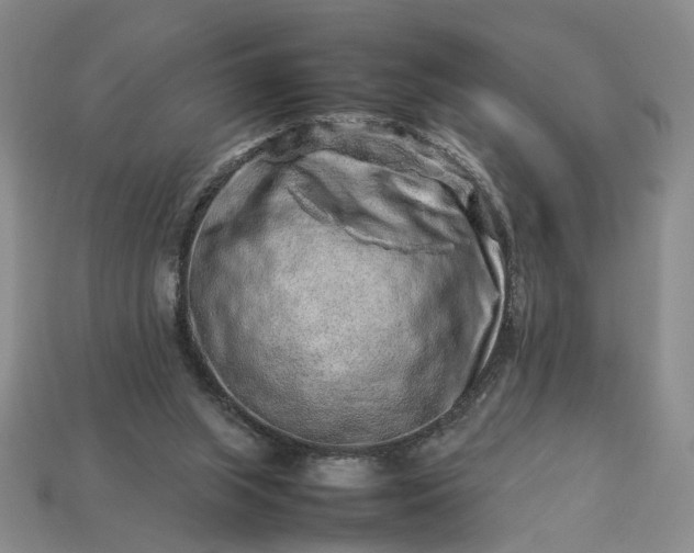 X0000113370063200909291100