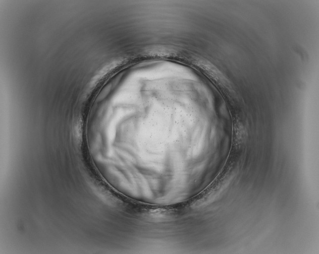 X0000113370064200909291100