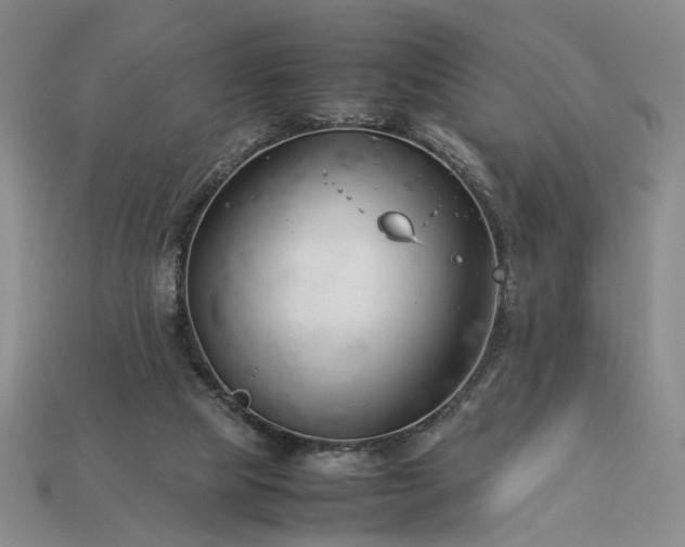 X0000113370065200909291100