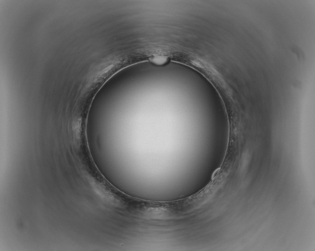 X0000113370066200909291100