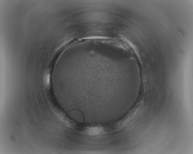 X0000113370067200909291100