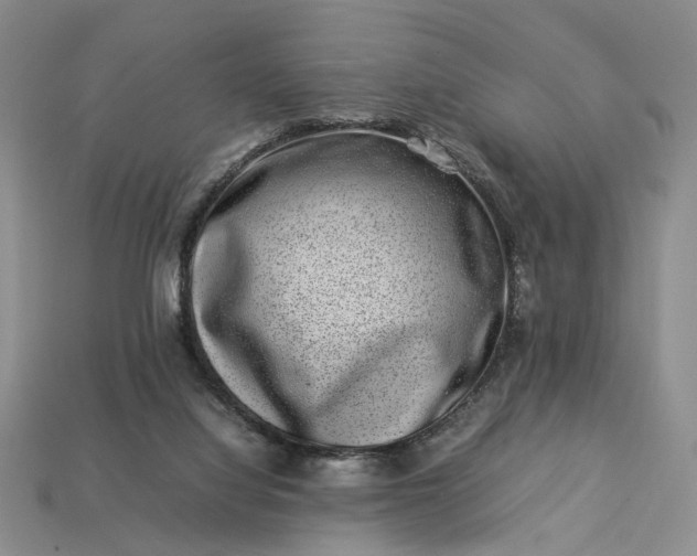 X0000113370068200909291100