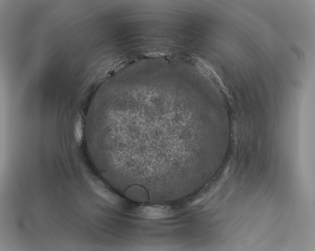 X0000113370069200909291100