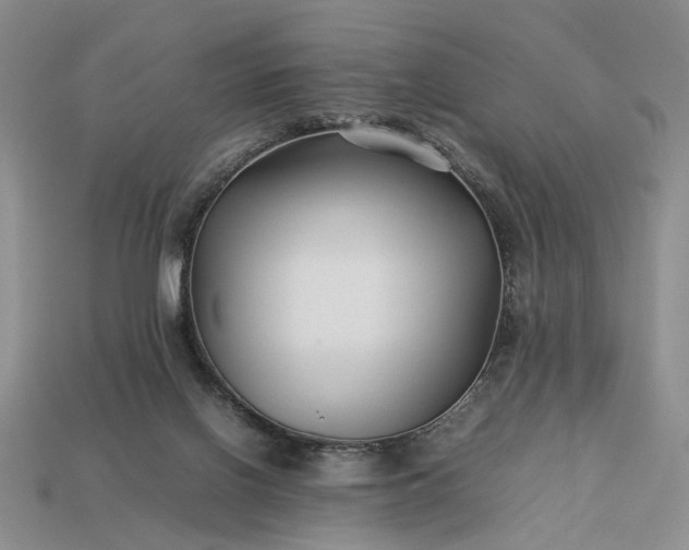 X0000113370070200909291100