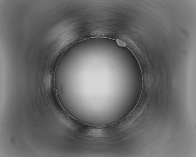 X0000113370071200909291100