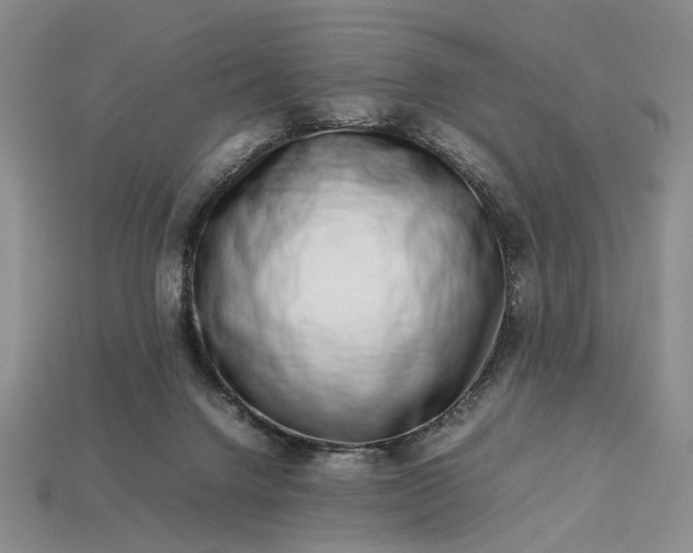 X0000113370072200909291100