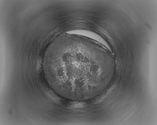 X0000113370073200909291100